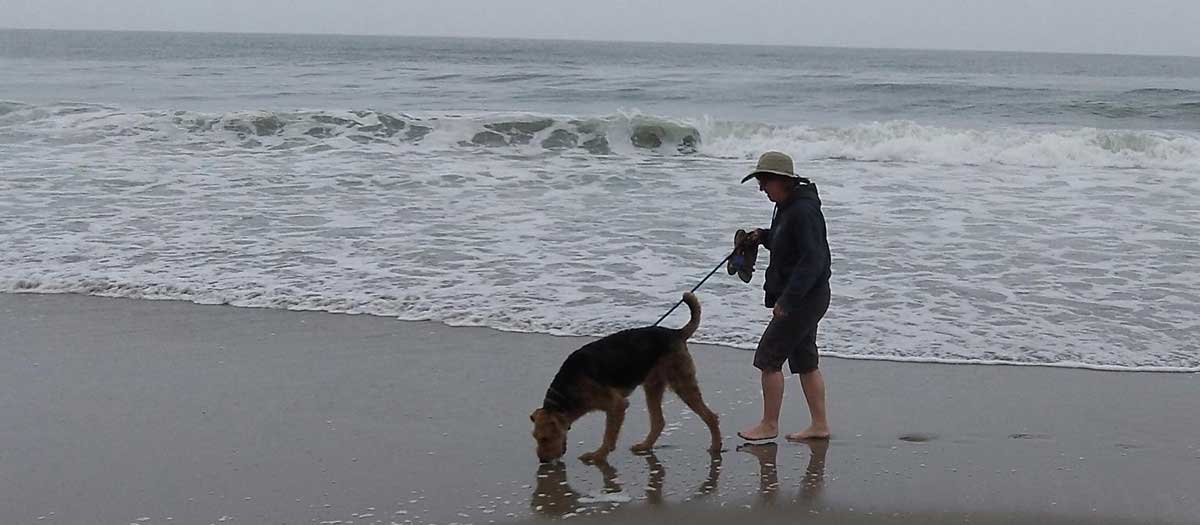 Walk on the beach
