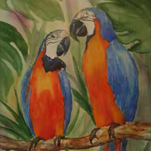 Captive Partners